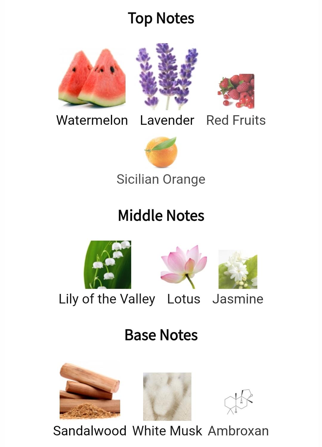 Kaaf Ahmed Al Maghribi - Image 2