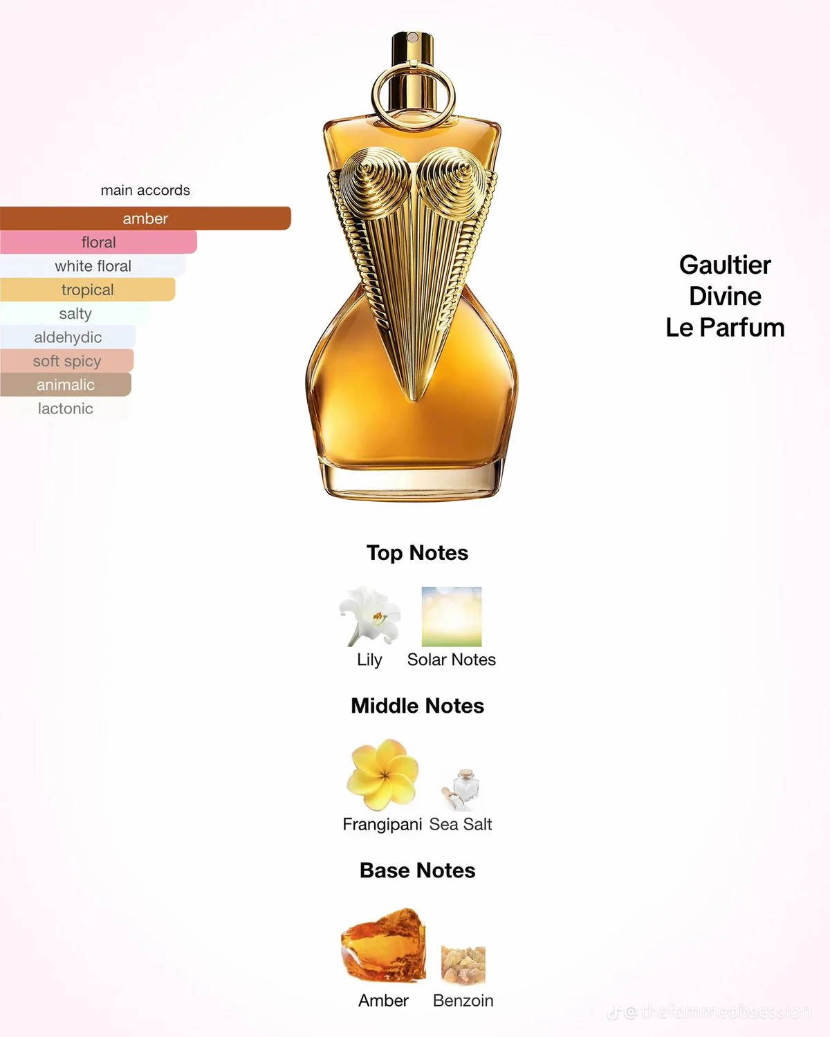 Gaultier Divine Le Parfum Jean Paul Gaultier - Image 2